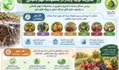تصویب طرح مدیریت تولید پایدار در محصولات مهم باغبانی