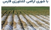 برنامههای مرکز ملی تحقیقات شوری برای مقابله با شوری استان فارس در خبرگزاری ایسنا