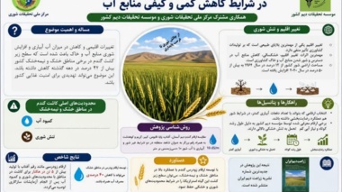 توسعه ارقام زودرس راهکار حفظ سطح زیر کشت گندم در مناطق با محدودیت کمی و کیفی منابع آب