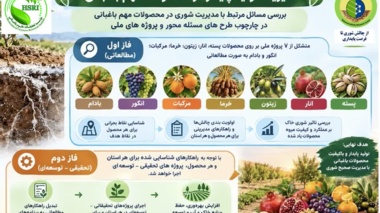 تصویب طرح مدیریت تولید پایدار در محصولات مهم باغبانی