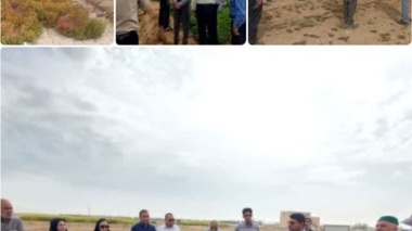 گزارش تصویری