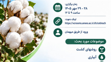 برگزاری نشست تخصصی و کارگاه آموزشی کاشت پنبه در شرایط شور