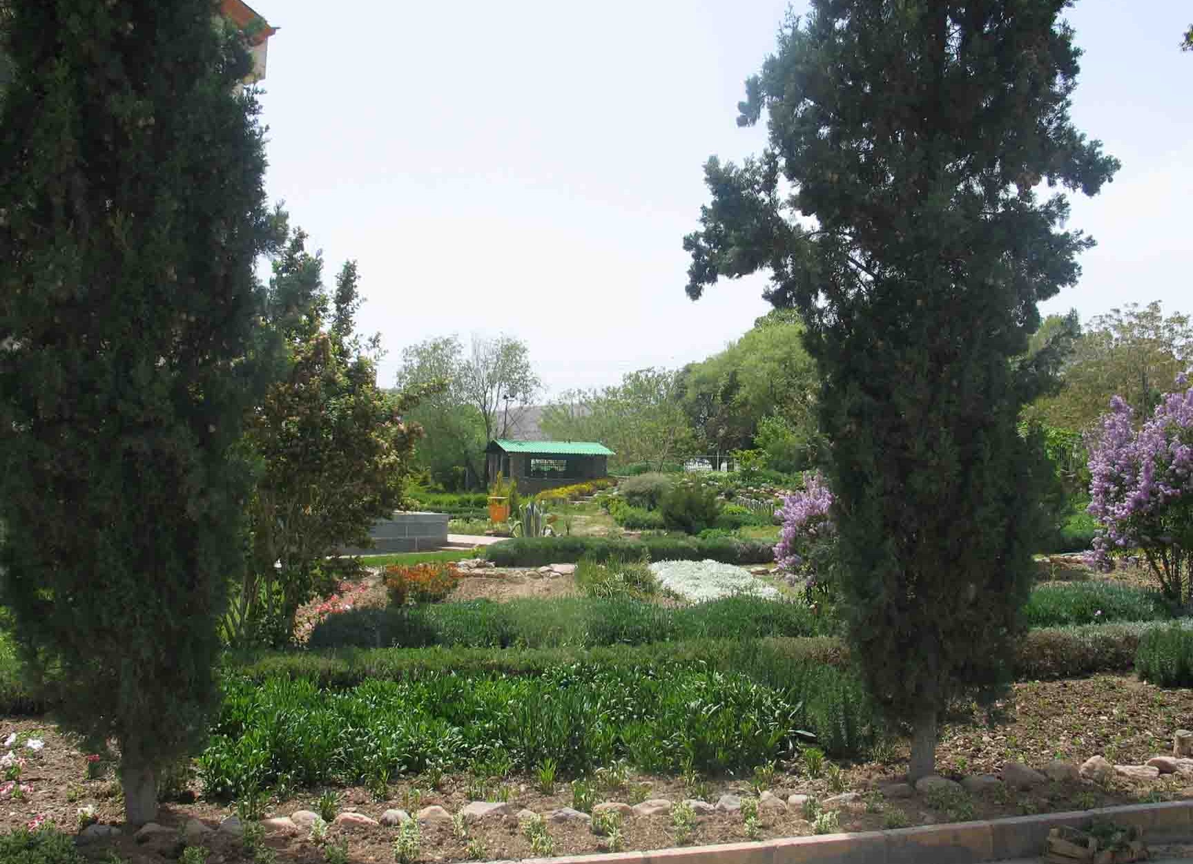 فضای سبز