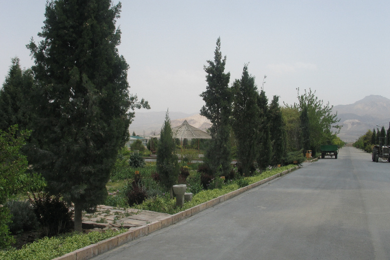 فضای سبز