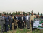 برگزاری روز مزرعه با حضور مدیران ترویج استان مرکزی در پژوهشکده ملی گل و گیاهان زینتی
