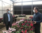 ارائه رهنمودهای پژوهشی و بررسی چالش‌های تحقیقاتی در جریان حضور دکتر پناهی در پژوهشکده