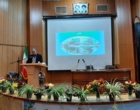 بیستمین نمایشگاه گل‌های داوودی با حضور مسئولان ملی و استانی در پژوهشکده گل و گیاهان زینتی افتتاح شد