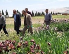 برگزاری جلسه اداری و بازدید میدانی مدیران مؤسسه تحقیقات علوم باغبانی از پروژه‌های در حال اجرای پژوهشکده گل و گیاهان زینتی