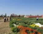 بازدید رئیس سازمان جهاد کشاورزی و رئیس مرکز تحقیقات جنوب کرمان از پژوهشکده گل و گیاهان زینتی و توافق بر اجرای برنامه‌های مشترک