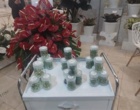 محققان پژوهشکده گل و گیاهان زینتی با معرفی دستاوردهای علمی در نمایشگاه ایران سبز، تعاملات تخصصی را گسترش دادند