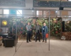 محققان پژوهشکده گل و گیاهان زینتی با معرفی دستاوردهای علمی در نمایشگاه ایران سبز، تعاملات تخصصی را گسترش دادند