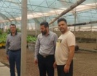 بازدید دکتر حسینی‌نیا و دکتر عربی، محققان معین پژوهشکده گل و گیاهان زینتی، از گلخانه آقای صادق داوری و بررسی راهکارهای کنترل آفات و بیماری‌ها
