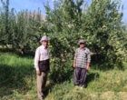 بازدید دکتر حسینی‌نیا و مهندس مجیدی از باغات شهرستان خمین و نمونه‌برداری از کنه‌های شکارگر در قالب پروژه پژوهشی