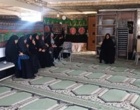 برگزاری دوره مهارتی آموزشی گل و گیاهان زینتی با مشارکت محققان پژوهشکده و بازدید میدانی از باغات نمونه مشهد اردهال