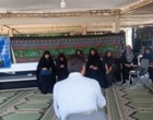 برگزاری دوره مهارتی آموزشی گل و گیاهان زینتی با مشارکت محققان پژوهشکده و بازدید میدانی از باغات نمونه مشهد اردهال