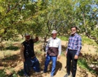 بازدید کارشناسی محققان پژوهشکده گل و گیاهان زینتی از باغات روستای خان‌آباد و نمونه‌برداری از کنه‌های شکارگر در قالب پروژه پژوهشی