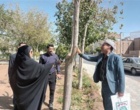 بازدید علمی دکتر خلج و دکتر حسینی‌نیا از درختان فضای سبز شهرستان دلیجان و بررسی علل خشکیدگی و زوال گیاهان