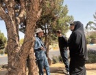 بازدید علمی دکتر خلج و دکتر حسینی‌نیا از درختان فضای سبز شهرستان دلیجان و بررسی علل خشکیدگی و زوال گیاهان