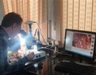 بازدید علمی محققان پژوهشکده گل و گیاهان زینتی از گلخانه لیلیوم با هدف بررسی تأثیر آب‌های نامتعارف و فناوری ضدعفونی ازونی
