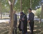 بازدید دکتر بیات رئیس مرکز علمی پژوهشکده گل و گیاهان زینتی شهرستان محلات به همراه مسئول واحد فضای سبز و کارشناس مربوطه از درختان سطح شهر دلیجان در پی ظهور علائم آفت زدگی ...
