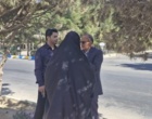 بازدید دکتر بیات رئیس مرکز علمی پژوهشکده گل و گیاهان زینتی شهرستان محلات به همراه مسئول واحد فضای سبز و کارشناس مربوطه از درختان سطح شهر دلیجان در پی ظهور علائم آفت زدگی ...
