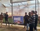 بازدید از گلخانه و برگزاری دوره آموزشی چالش‌های بستر کشت، توصیه‌های کاربردی سموم آفات و بیماری‌های گیاهان زینتی