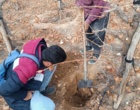 بازدید از تاکستان‌های ظفرآباد از توابع شهر شیراز جهت بررسی مشکلات و آموزش به‌باغی