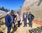 برگزاری جلسه ارزیابی پژوهشی پژوهشکده گل و گیاهان زینتی زیر نظر تیم پژوهشی موسسه تحقیقات علوم باغبانی