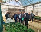 برگزاری جلسه ارزیابی پژوهشی پژوهشکده گل و گیاهان زینتی زیر نظر تیم پژوهشی موسسه تحقیقات علوم باغبانی