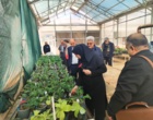 برگزاری جلسه ارزیابی پژوهشی پژوهشکده گل و گیاهان زینتی زیر نظر تیم پژوهشی موسسه تحقیقات علوم باغبانی