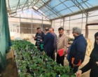 برگزاری جلسه ارزیابی پژوهشی پژوهشکده گل و گیاهان زینتی زیر نظر تیم پژوهشی موسسه تحقیقات علوم باغبانی