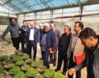 برگزاری جلسه ارزیابی پژوهشی پژوهشکده گل و گیاهان زینتی زیر نظر تیم پژوهشی موسسه تحقیقات علوم باغبانی