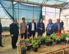 برگزاری جلسه ارزیابی پژوهشی پژوهشکده گل و گیاهان زینتی زیر نظر تیم پژوهشی موسسه تحقیقات علوم باغبانی