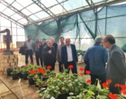 برگزاری جلسه ارزیابی پژوهشی پژوهشکده گل و گیاهان زینتی زیر نظر تیم پژوهشی موسسه تحقیقات علوم باغبانی
