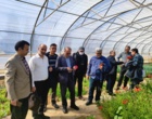 برگزاری جلسه ارزیابی پژوهشی پژوهشکده گل و گیاهان زینتی زیر نظر تیم پژوهشی موسسه تحقیقات علوم باغبانی