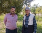 بازدید از باغات مزور و ارائه توصیه‌های لازم برای کنترل کنه تارتن توسط محقق پژوهشکده گل و گیاهان زینتی
