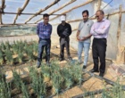 بازدید از گلخانه بخش خصوصی جهت همکاریهای مشترک و رفع مشکلات تولید