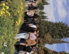 برگزاری روز درهای باز پژوهشکده گل و گیاهان زینتی با حضور بازدیدکنندگان دانشگاهی