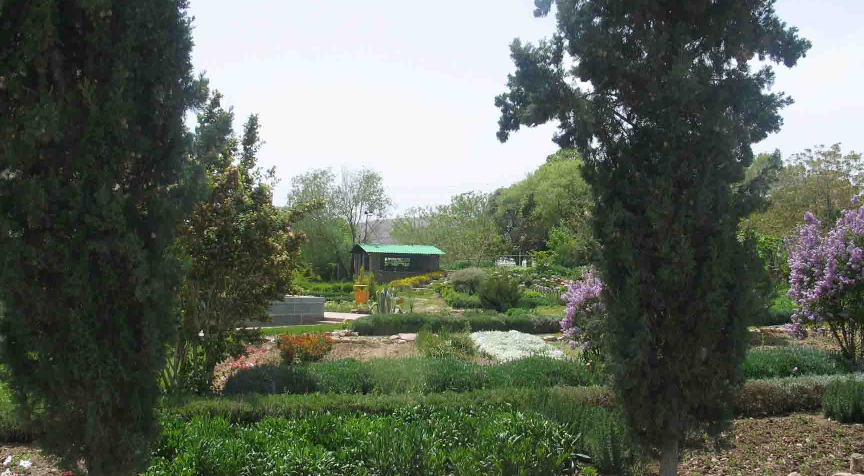 فضای سبز - 3