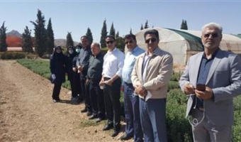 بازدید معاون و کارشناسان سازمان پارک‌ها و فضای سبز اصفهان از پژوهشکده گل و گیاهان زینتی