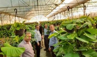 بازدید رئیس مؤسسه تحقیقات علوم باغبانی کشور از پژوهشکده گل و گیاهان زینتی و بررسی چالش‌های تولید و فضای سبز