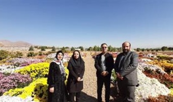 بازدید معاون پژوهشی و اساتید گروه باغبانی دانشگاه آزاد رفسنجان از نمایشگاه گل‌های داودی و مذاکره برای همکاری‌های علمی و آموزشی