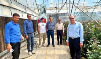 بازدید موردی محققین معین پژوهشکده گل و گیاهان زینتی از گلخانه‌ها و باغات منطقه شهابیه شهرستان خمین