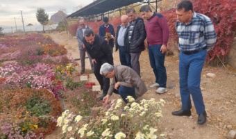 برنامه‌ریزی برای ثبت ارقام جدید داوودی و رز پرتوتابی شده در پژوهشکده گل و گیاهان زینتی