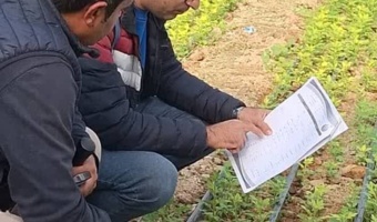 بازدید از گلخانه گل داوودی شهرستان بیضا استان فارس