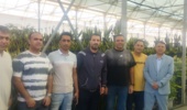بازدید از گلخانه گل‌های آپارتمانی آقای شهبازی در امیر آباد اراضی