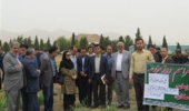 برگزاری روز مزرعه با حضور مدیران ترویج استان مرکزی در پژوهشکده ملی گل و گیاهان زینتی