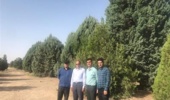 بازدید محققان معین پژوهشکده گل و گیاهان زینتی از پارک جنگلی حاشیه سد ۱۵ خرداد شهرستان دلیجان