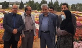 حضور رئیس سازمان جهاد کشاورزی استان مرکزی در بیستویکمین نمایشگاه گلهای داودی پژوهشکده گل و گیاهان زینتی