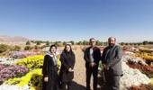 بازدید معاون پژوهشی و اساتید گروه باغبانی دانشگاه آزاد رفسنجان از نمایشگاه گلهای داودی و مذاکره برای همکاریهای علمی و آموزشی